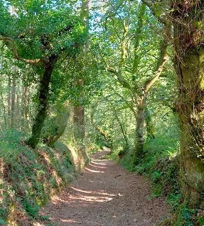 Apartment O Labrego De *