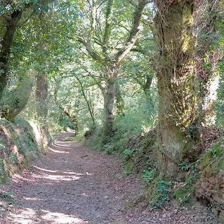 O Labrego De Apartment *