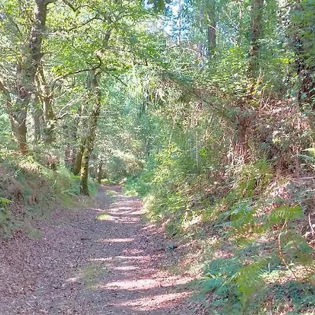 O Labrego De Apartmán Boimorto (A Coruna)