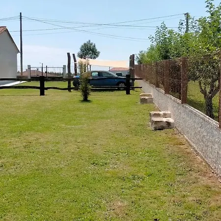 O Labrego De Boimorto (A Coruna)