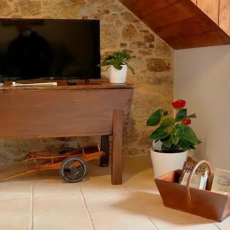 O Labrego De Appartement Boimorto (A Coruna)
