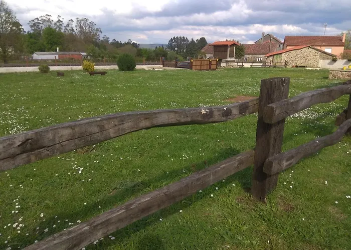 O Labrego De * Boimorto (A Coruna)