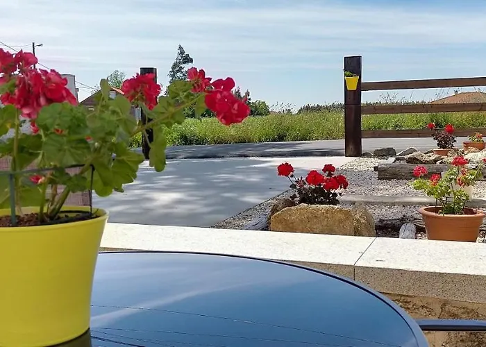 O Labrego De Apartmán *