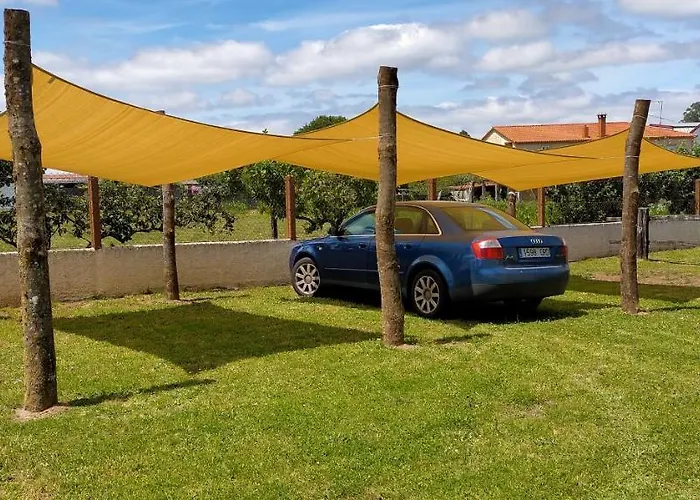 O Labrego De Boimorto (A Coruna)