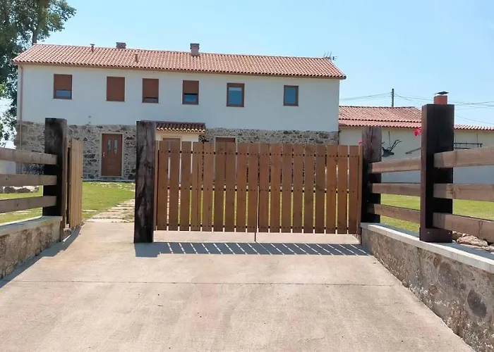 O Labrego De Boimorto (A Coruna)