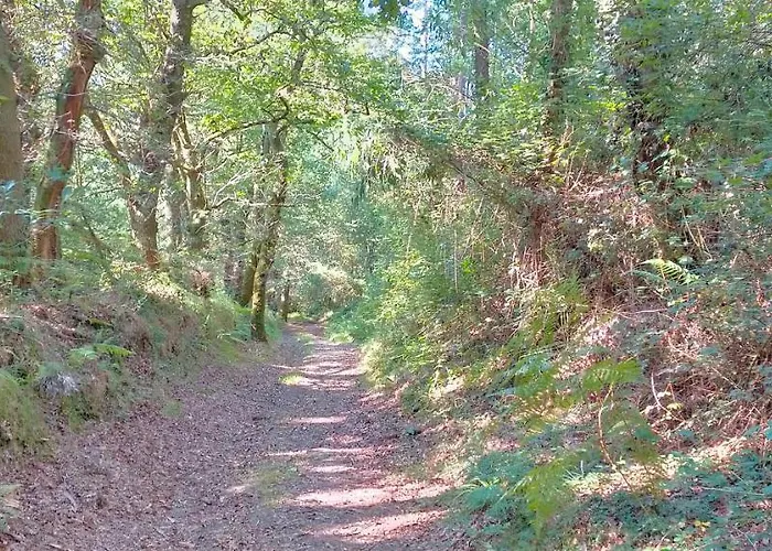 O Labrego De Apartmán Boimorto (A Coruna)