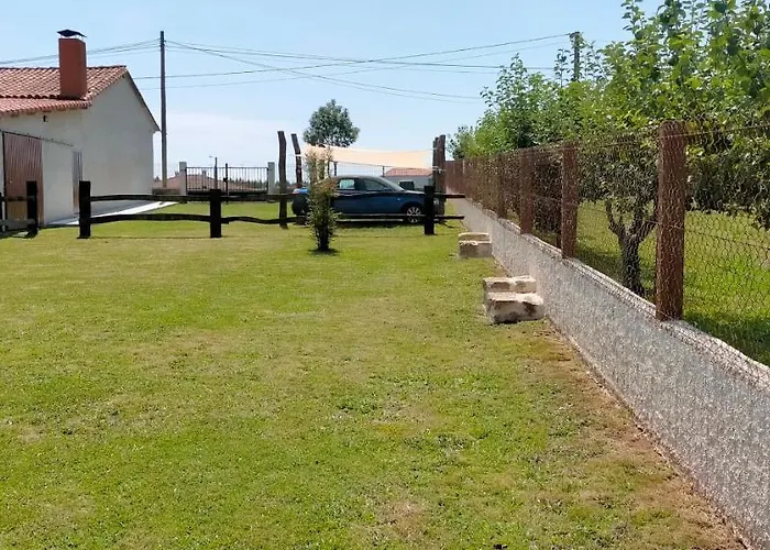 O Labrego De Boimorto (A Coruna)