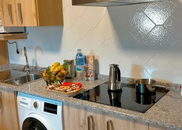 O Labrego De * Boimorto (A Coruna)