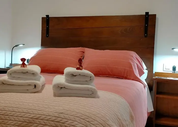 O Labrego De Boimorto (A Coruna)