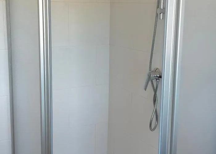 O Labrego De